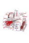 Аптечка Lifesystems Trek First Aid Kit магазин