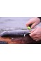 Ніж Morakniv Fishing Comfort Fillet 155 stainless steel купити ніж київ
