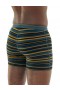 Трусы Icebreaker Mens Anatomica Boxers New купить в киеве