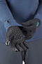 Перчатки Rab Women's Power Stretch Contact Grip Glove