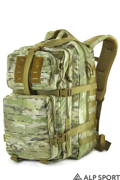 multicam