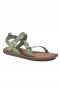Bronze Green