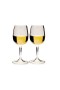 Набор бокалов для вина GSI Nesting Wine Glass Set 2 шт купить недорого